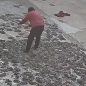 世界杯举办城市-80岁老太毁水泥地后续：损失超5000元，子女连夜返回，原因太离谱